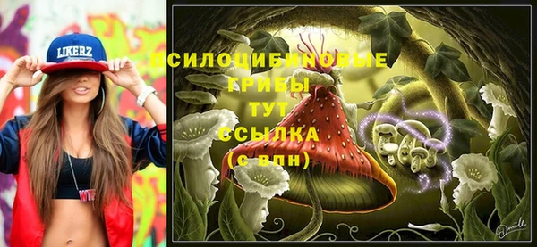 спиды Заволжье