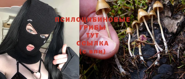 герыч Заводоуковск