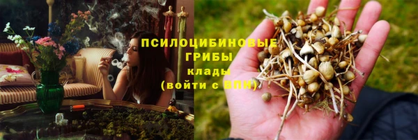 твердый Заволжск